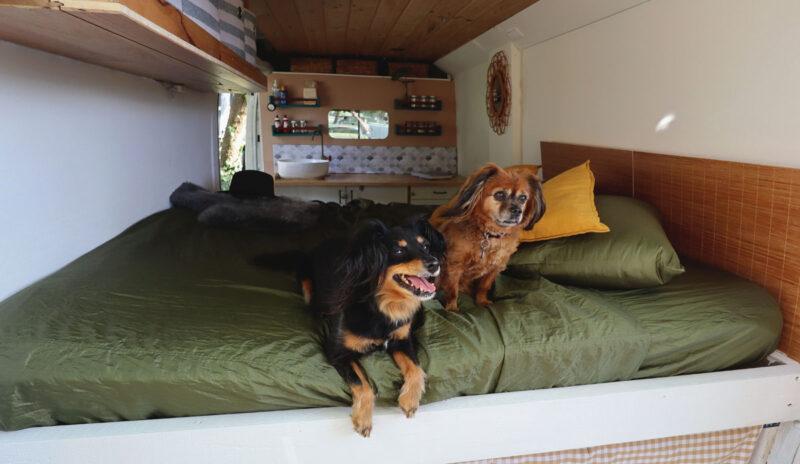 eco-friendly travel sheet with dogs vanlife